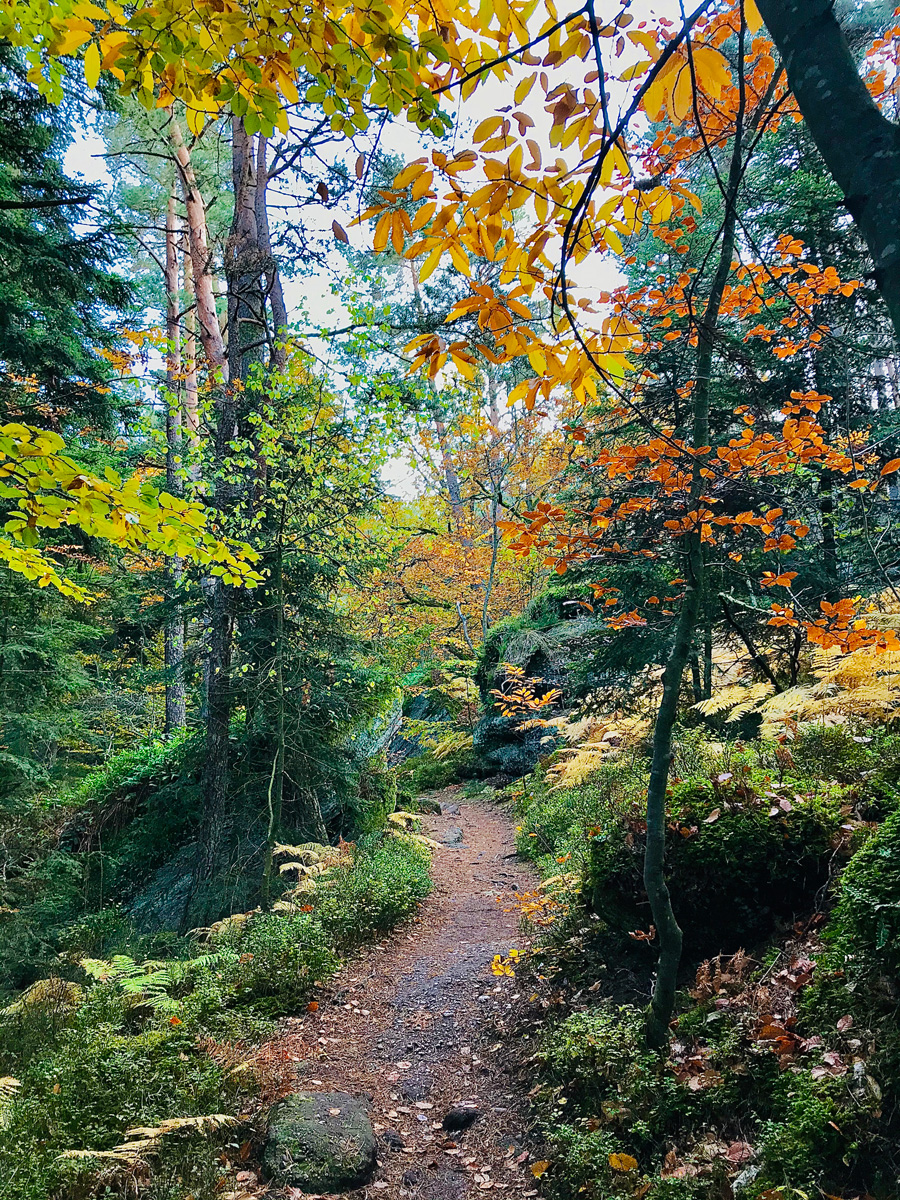 immersion-nature
